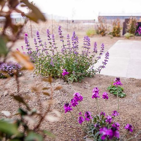 Zeezand Recreatie Cozy Chalets Stolpen Esterno foto